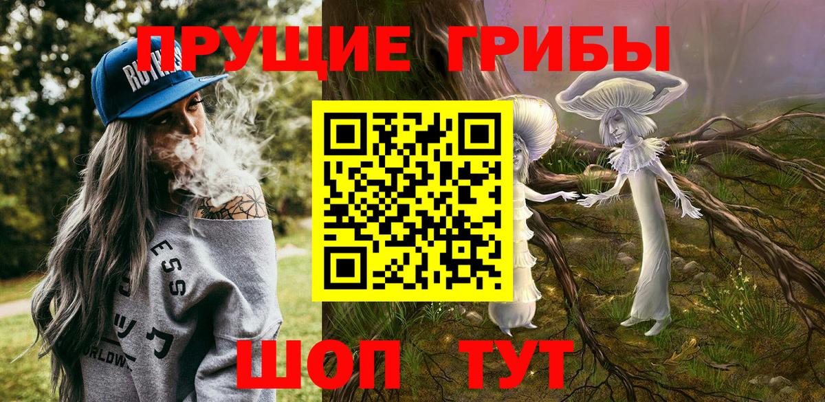 где найти   Вход с VPN  Иваново  Галлюциногенные грибы ЛСД 